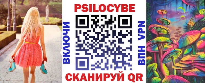Купить  Голицыно  Псилоцибиновые грибы Psilocybe 